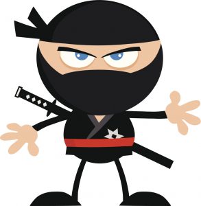 Ninja