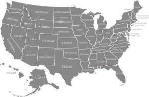 USA map vector outline with states names in gray background
