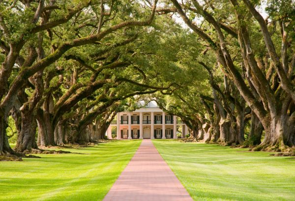 CompHealth - locum tenens with a spouse - image of Oak Alley Plantation in Louisiana