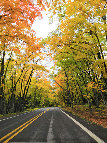 Upper Peninsula Michigan foliage