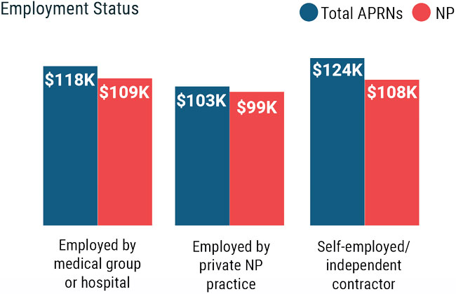 chart showing NP earnings by employment status