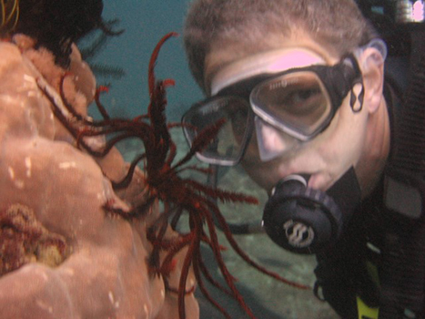 Dr. Wilner scuba diving