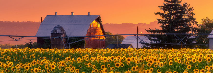 Wisconsin