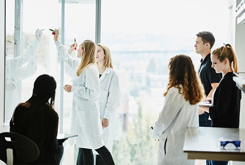 Physicians drawing on a white board