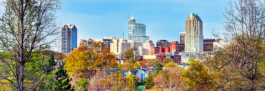 Raleigh skyline