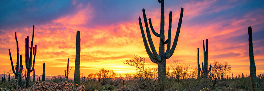 Arizona top location for locum tenens physicians