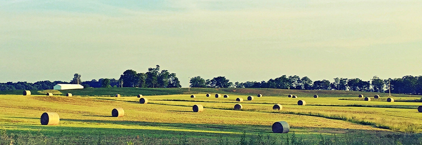 Landscape photo of Indiana